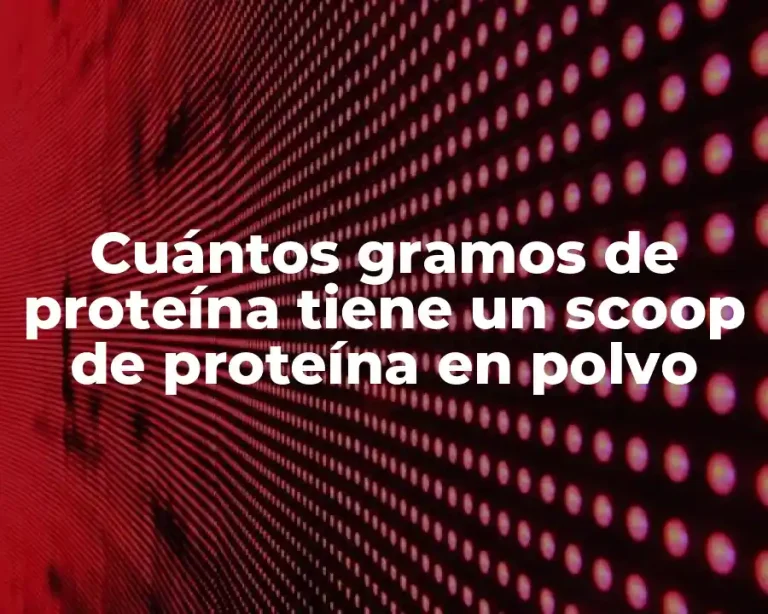 Cuántos gramos de proteína tiene un scoop de proteína en polvo