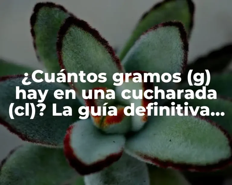 ¿Cuántos gramos (g) hay en una cucharada (cl)? La guía definitiva para medir con precisión.