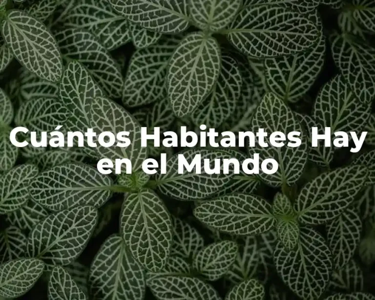 Cuántos Habitantes Hay en el Mundo