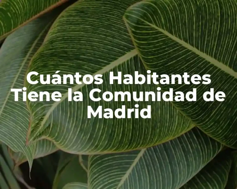 Cuántos Habitantes Tiene la Comunidad de Madrid