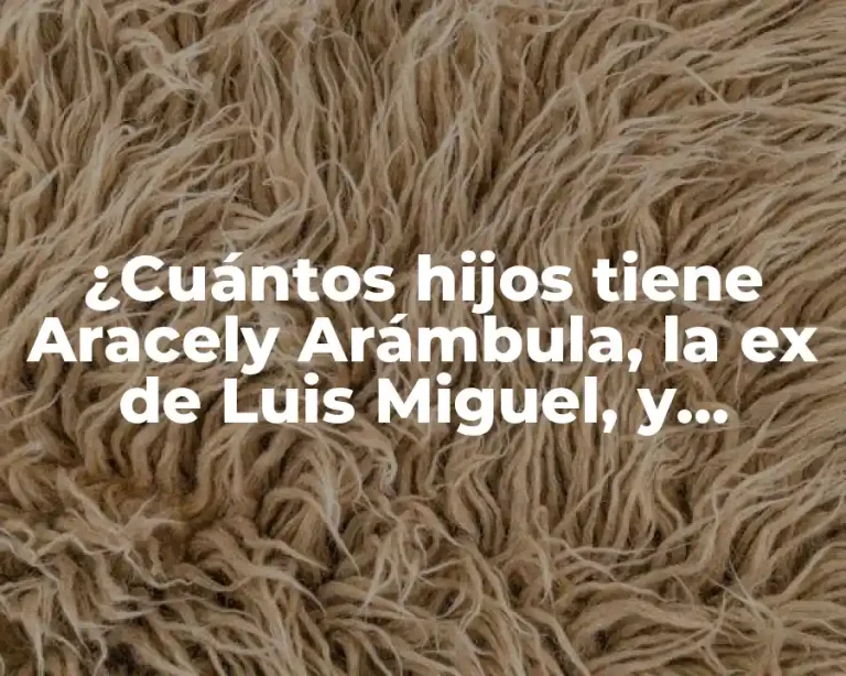 ¿Cuántos hijos tiene Aracely Arámbula, la ex de Luis Miguel, y Francisco de Córdoba?