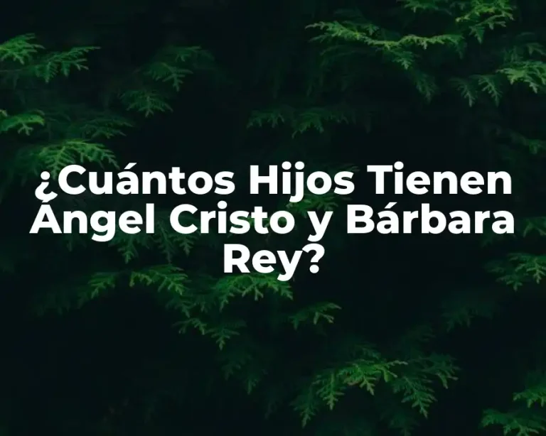 ¿Cuántos Hijos Tienen Ángel Cristo y Bárbara Rey?