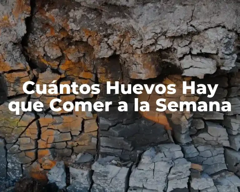 Cuántos Huevos Hay que Comer a la Semana