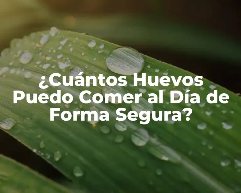 ¿Cuántos Huevos Puedo Comer al Día de Forma Segura?