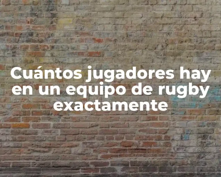 Cuántos jugadores hay en un equipo de rugby exactamente