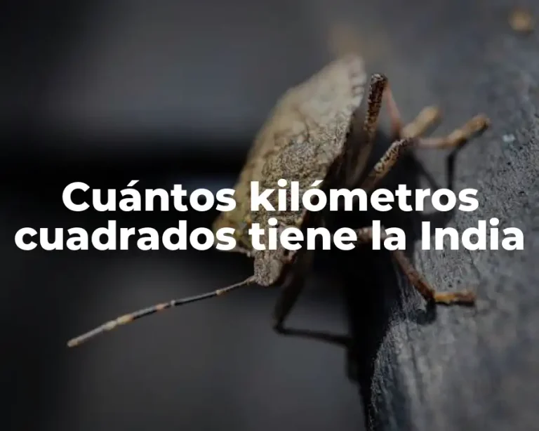 Cuántos kilómetros cuadrados tiene la India