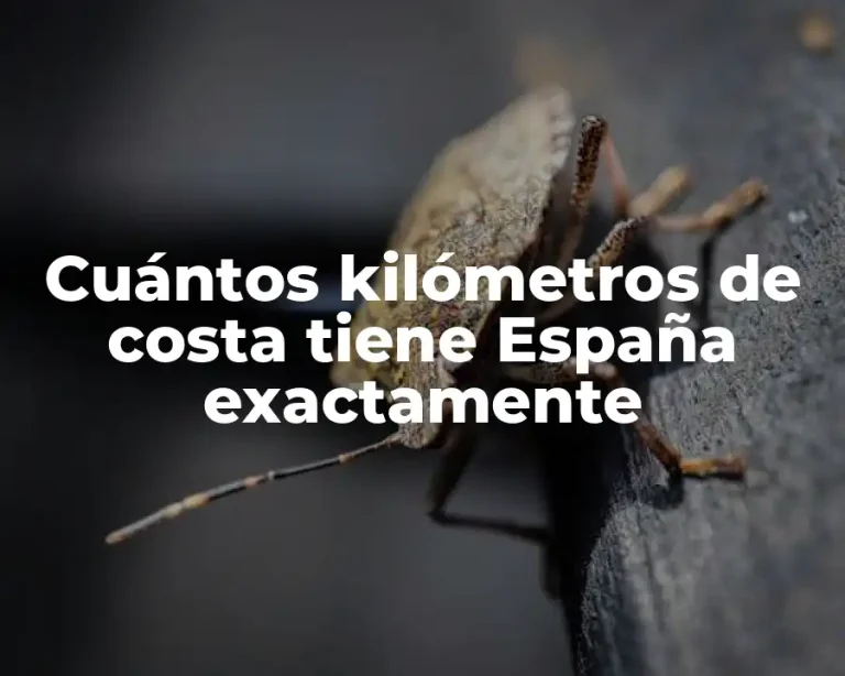Cuántos kilómetros de costa tiene España exactamente