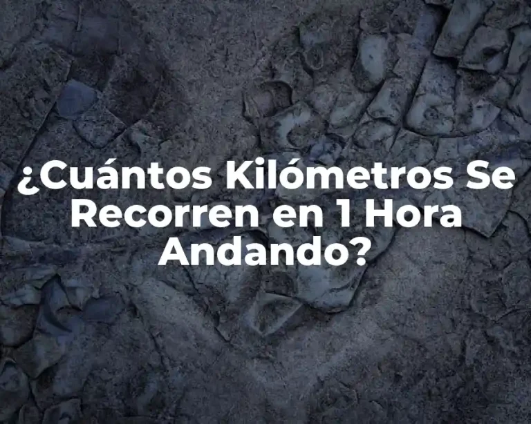 ¿Cuántos Kilómetros Se Recorren en 1 Hora Andando?