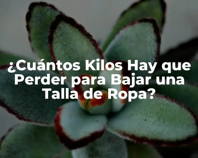¿Cuántos Kilos Hay que Perder para Bajar una Talla de Ropa?
