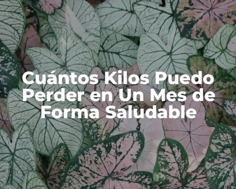 Cuántos Kilos Puedo Perder en Un Mes de Forma Saludable
