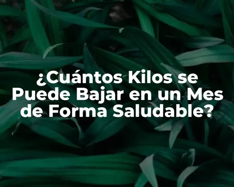 ¿Cuántos Kilos se Puede Bajar en un Mes de Forma Saludable?