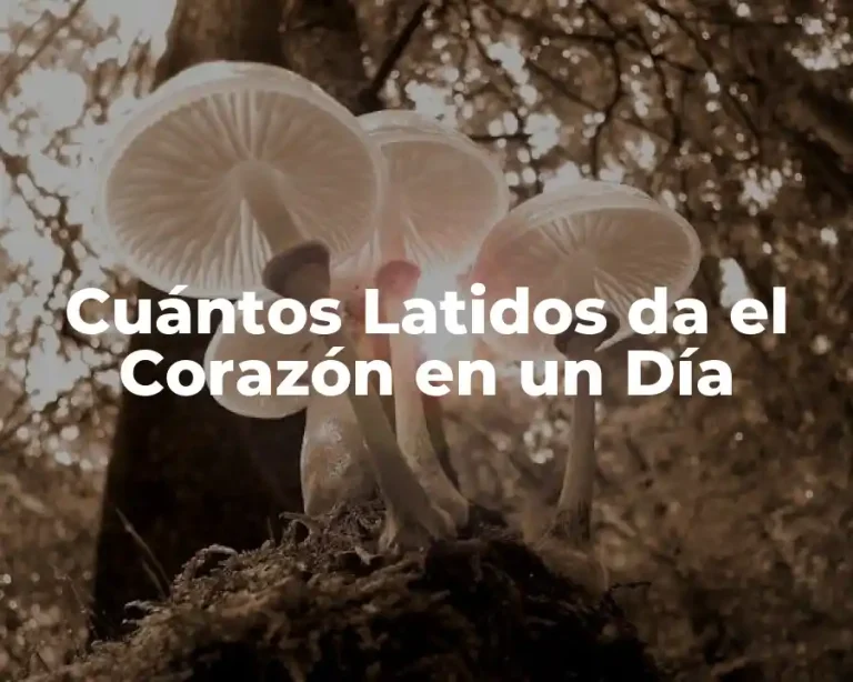 Cuántos Latidos da el Corazón en un Día
