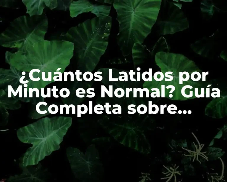 ¿Cuántos Latidos por Minuto es Normal? Guía Completa sobre Frecuencia Cardíaca