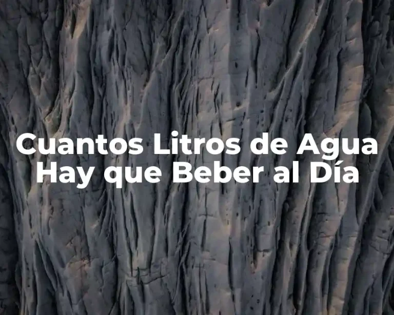 Cuantos Litros de Agua Hay que Beber al Día