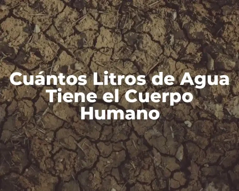 Cuántos Litros de Agua Tiene el Cuerpo Humano