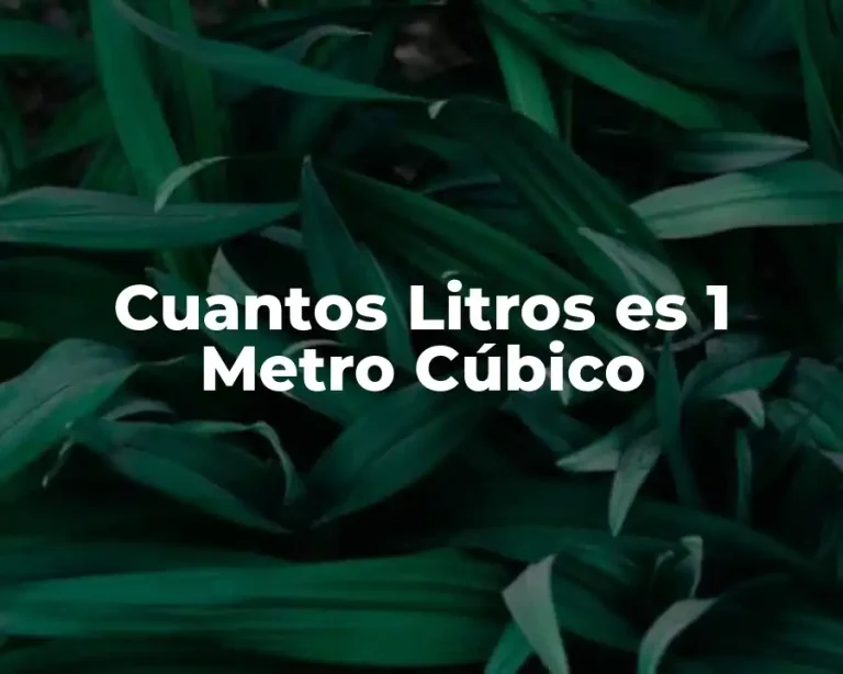 Cuantos Litros es 1 Metro Cúbico