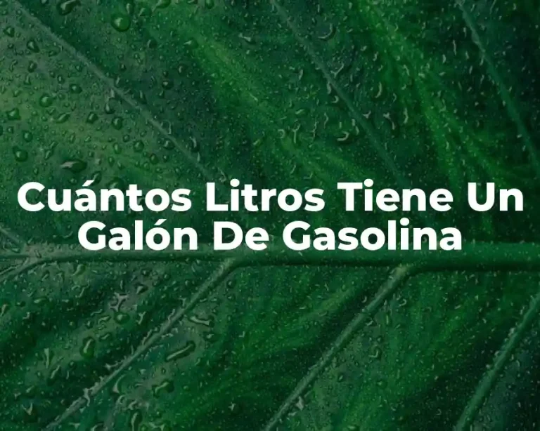 Cuántos Litros Tiene Un Galón De Gasolina
