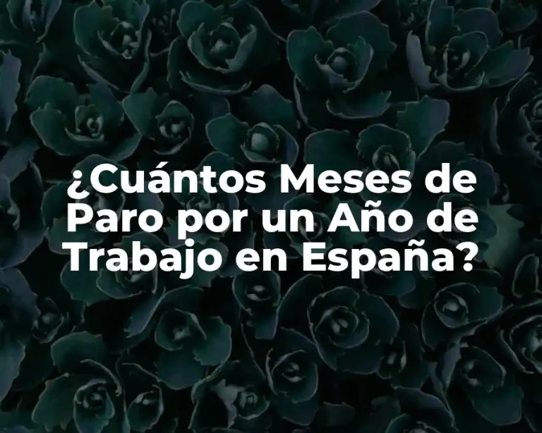 ¿Cuántos Meses de Paro por un Año de Trabajo en España?