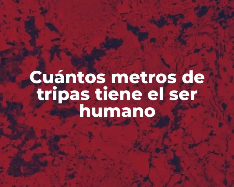 Cuántos metros de tripas tiene el ser humano