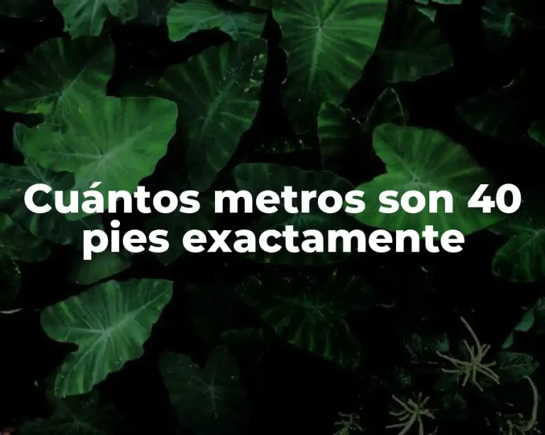 Cuántos metros son 40 pies exactamente