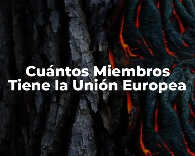 Cuántos Miembros Tiene la Unión Europea