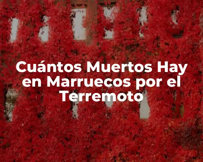 Cuántos Muertos Hay en Marruecos por el Terremoto