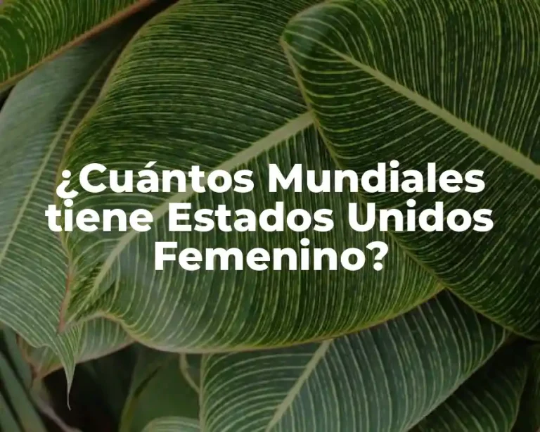 ¿Cuántos Mundiales tiene Estados Unidos Femenino?