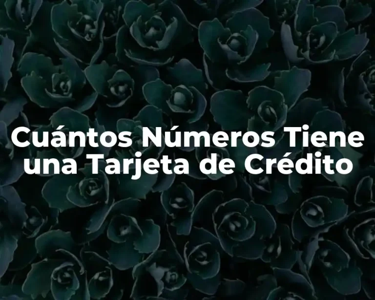 Cuántos Números Tiene una Tarjeta de Crédito