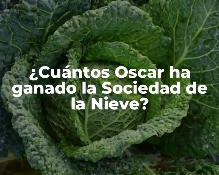 ¿Cuántos Oscar ha ganado la Sociedad de la Nieve?