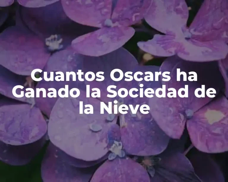 Cuantos Oscars ha Ganado la Sociedad de la Nieve