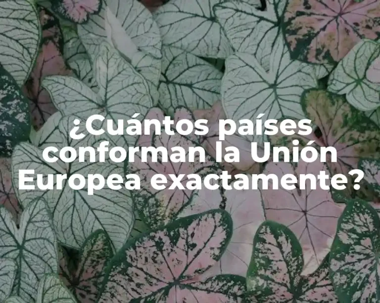 ¿Cuántos países conforman la Unión Europea exactamente?