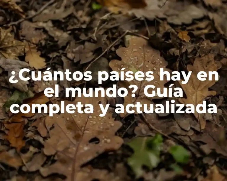 ¿Cuántos países hay en el mundo? Guía completa y actualizada