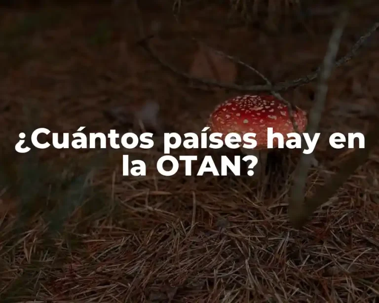¿Cuántos países hay en la OTAN?