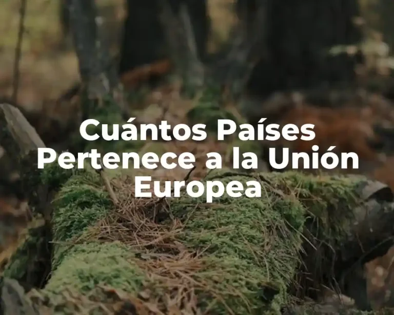 Cuántos Países Pertenece a la Unión Europea