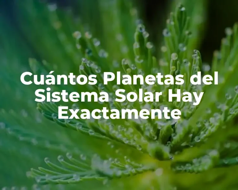 Cuántos Planetas del Sistema Solar Hay Exactamente