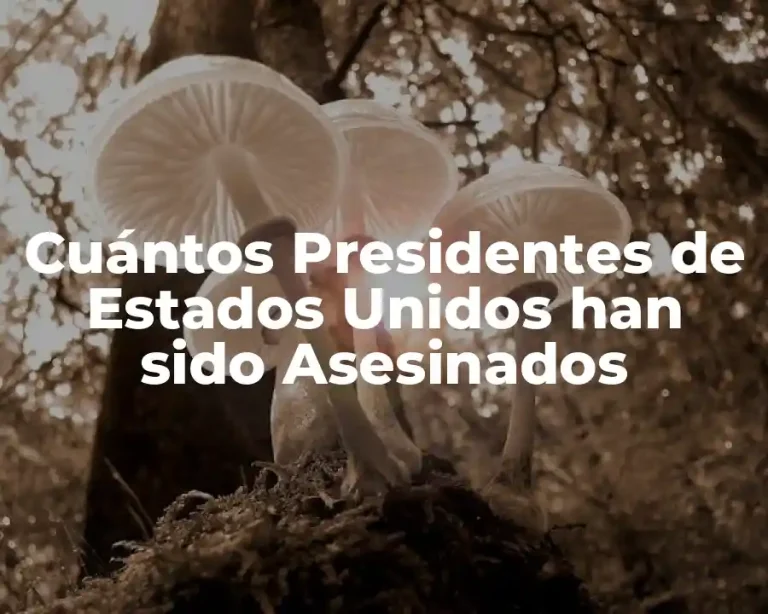 Cuántos Presidentes de Estados Unidos han sido Asesinados