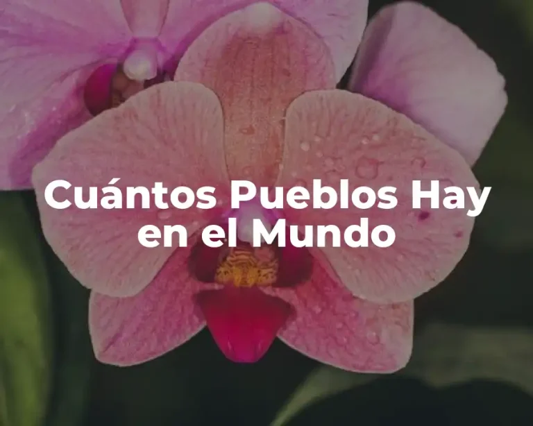 Cuántos Pueblos Hay en el Mundo