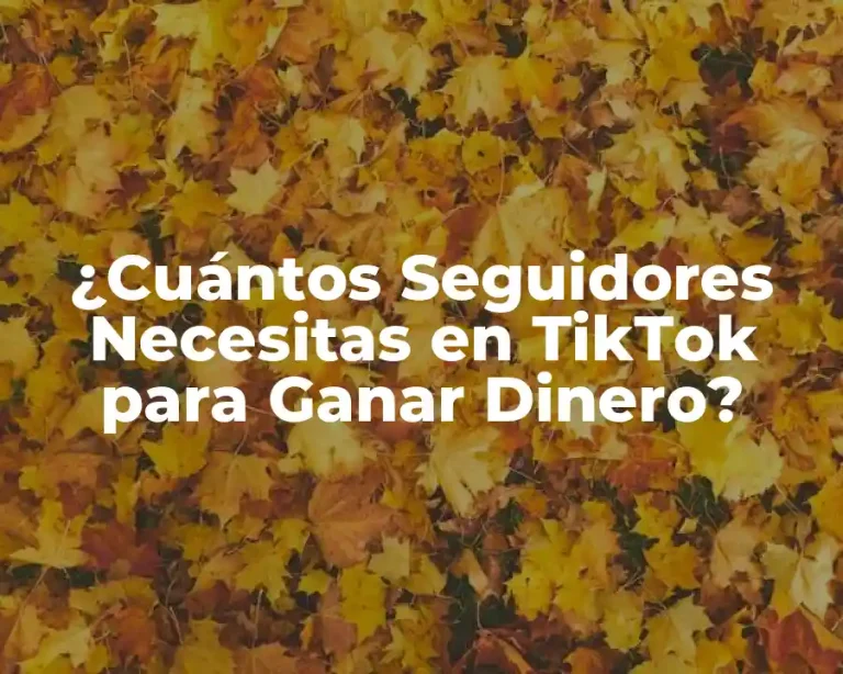 ¿Cuántos Seguidores Necesitas en TikTok para Ganar Dinero?