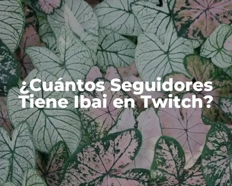 ¿Cuántos Seguidores Tiene Ibai en Twitch?