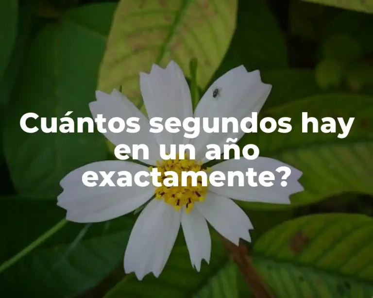 Cuántos segundos hay en un año exactamente?