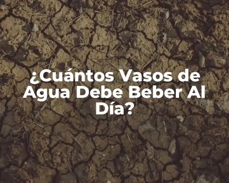 ¿Cuántos Vasos de Agua Debe Beber Al Día?