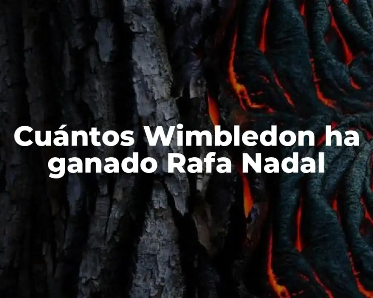 Cuántos Wimbledon ha ganado Rafa Nadal