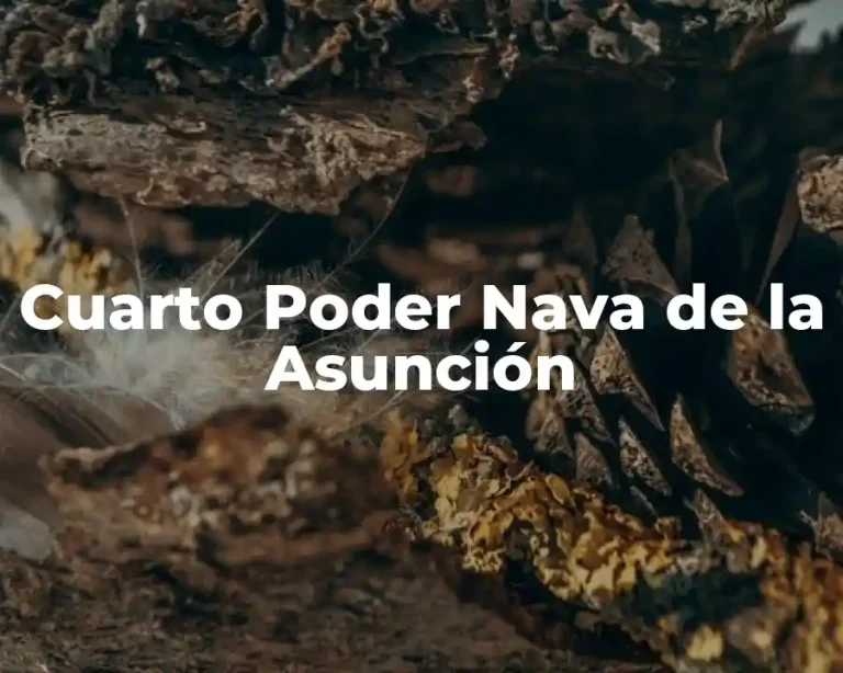 Cuarto Poder Nava de la Asunción