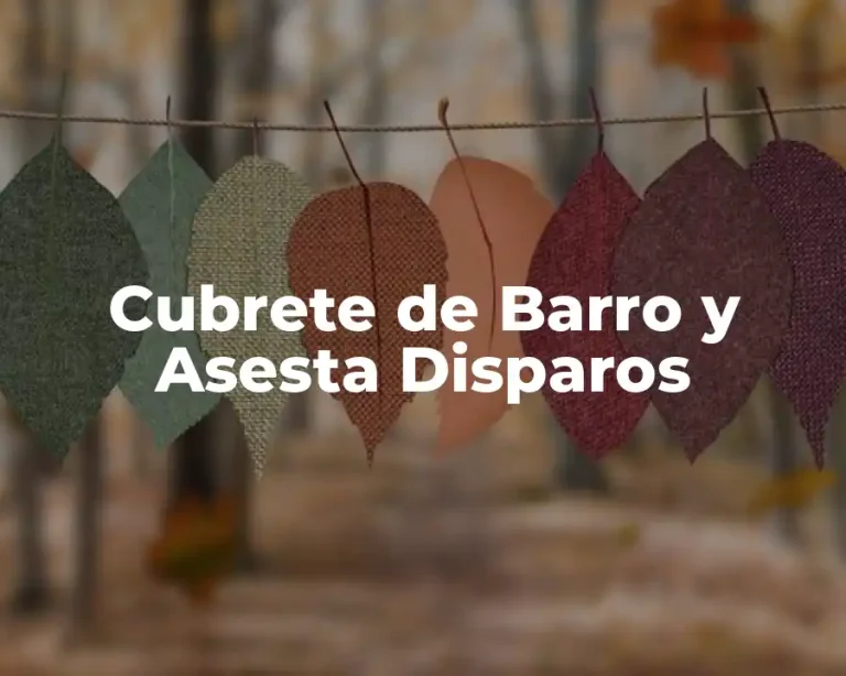Cubrete de Barro y Asesta Disparos