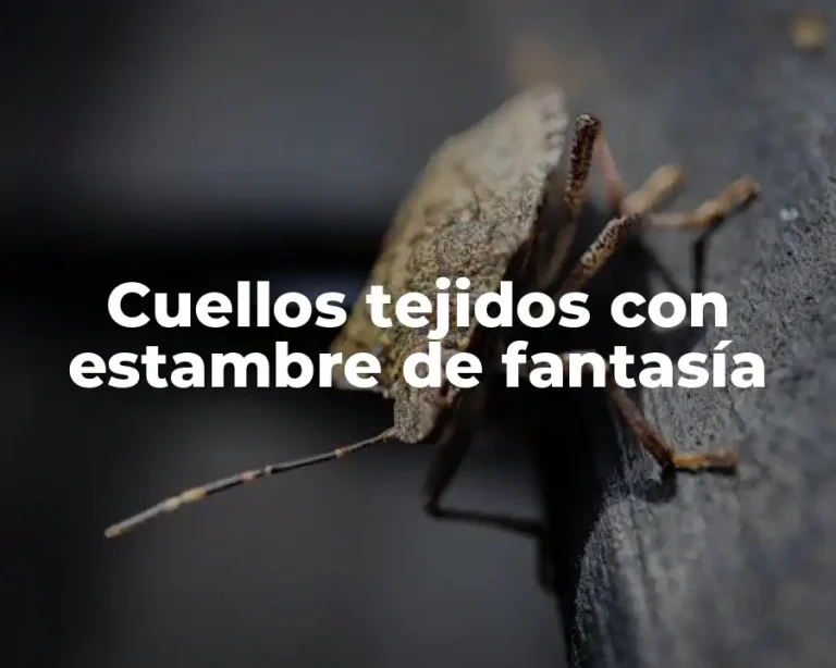 Cuellos tejidos con estambre de fantasía