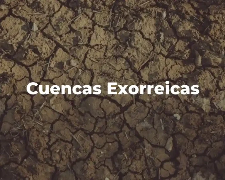 Cuencas Exorreicas