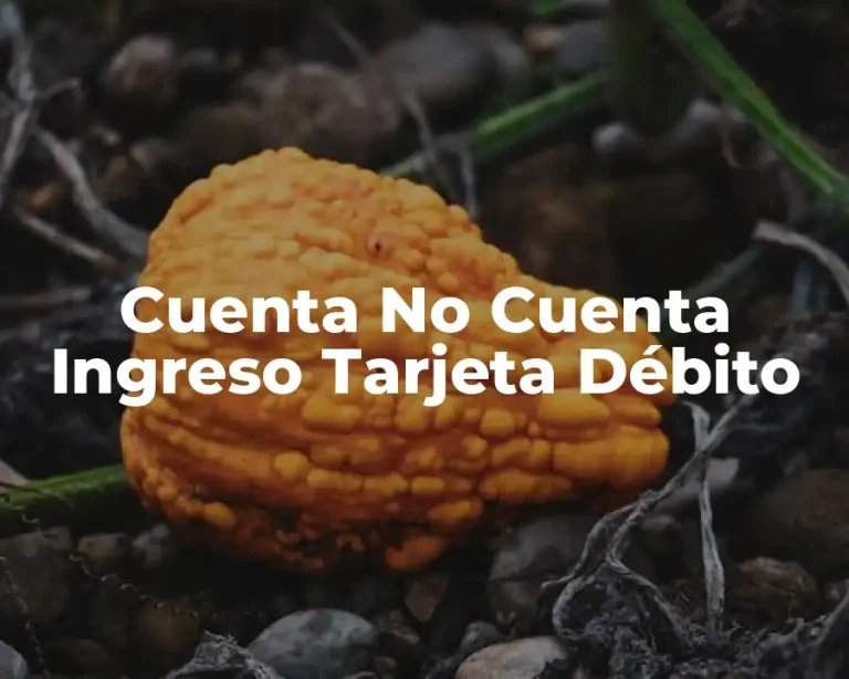 Cuenta No Cuenta Ingreso Tarjeta Débito