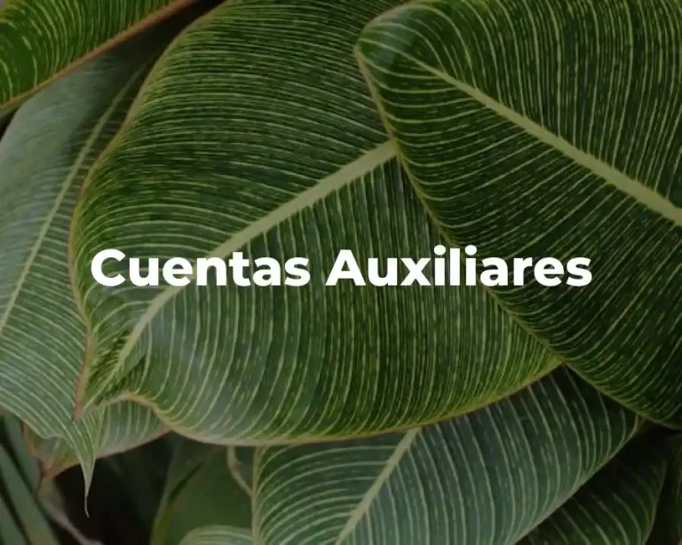 Cuentas Auxiliares