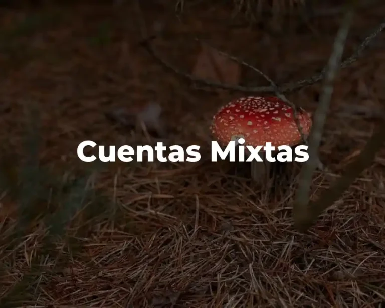 Cuentas Mixtas