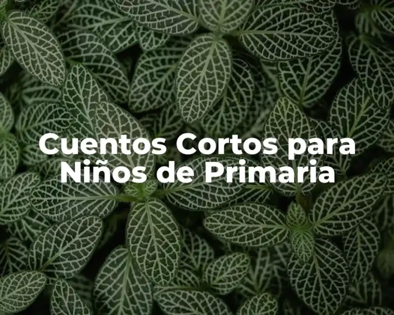 Cuentos Cortos para Niños de Primaria